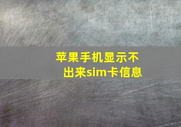 苹果手机显示不出来sim卡信息