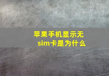 苹果手机显示无sim卡是为什么