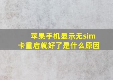 苹果手机显示无sim卡重启就好了是什么原因