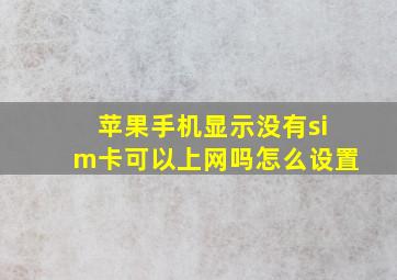 苹果手机显示没有sim卡可以上网吗怎么设置