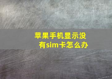 苹果手机显示没有sim卡怎么办