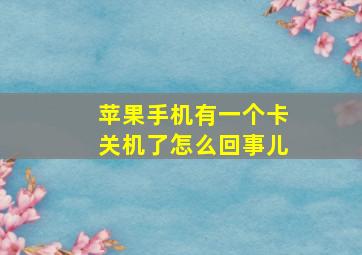 苹果手机有一个卡关机了怎么回事儿