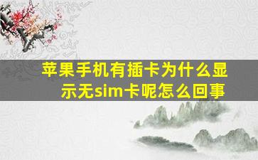 苹果手机有插卡为什么显示无sim卡呢怎么回事