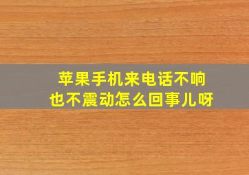 苹果手机来电话不响也不震动怎么回事儿呀