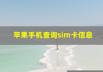 苹果手机查询sim卡信息