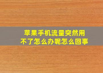 苹果手机流量突然用不了怎么办呢怎么回事