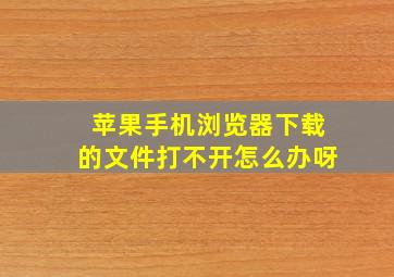 苹果手机浏览器下载的文件打不开怎么办呀