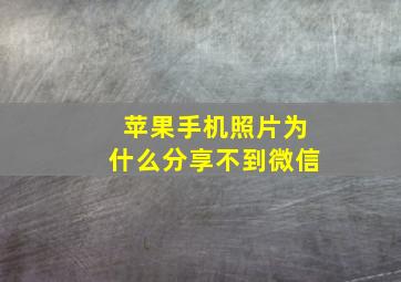 苹果手机照片为什么分享不到微信