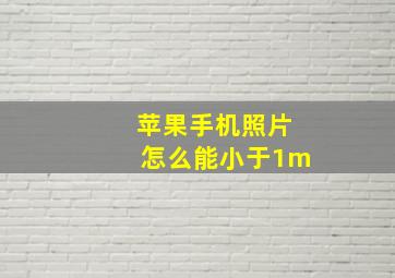 苹果手机照片怎么能小于1m