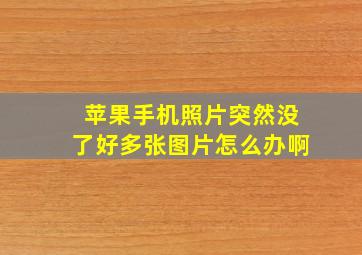 苹果手机照片突然没了好多张图片怎么办啊