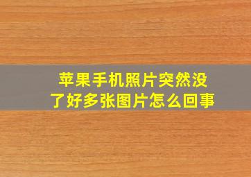 苹果手机照片突然没了好多张图片怎么回事