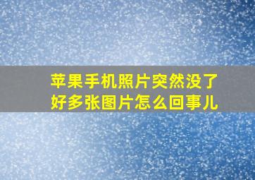 苹果手机照片突然没了好多张图片怎么回事儿