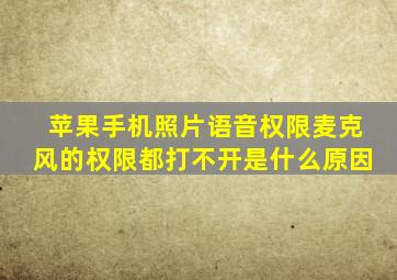 苹果手机照片语音权限麦克风的权限都打不开是什么原因