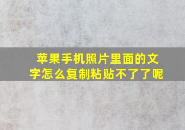 苹果手机照片里面的文字怎么复制粘贴不了了呢