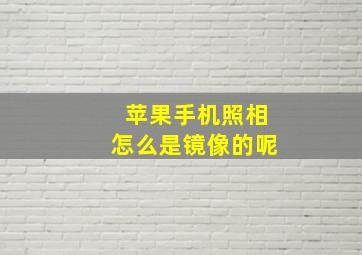 苹果手机照相怎么是镜像的呢