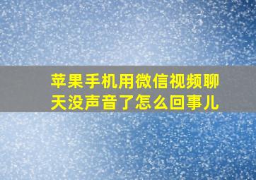 苹果手机用微信视频聊天没声音了怎么回事儿