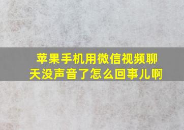 苹果手机用微信视频聊天没声音了怎么回事儿啊