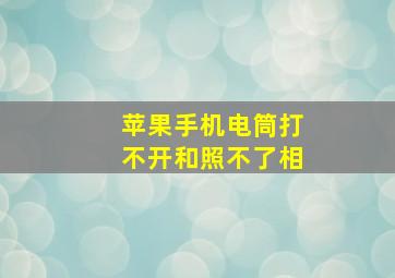 苹果手机电筒打不开和照不了相