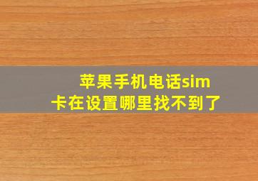 苹果手机电话sim卡在设置哪里找不到了