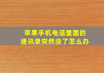 苹果手机电话里面的通讯录突然没了怎么办