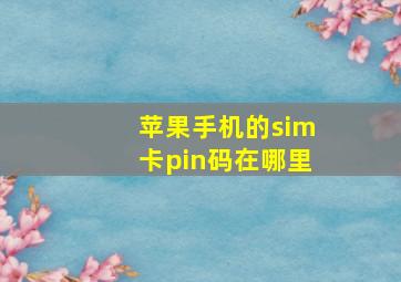 苹果手机的sim卡pin码在哪里