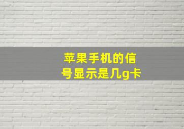 苹果手机的信号显示是几g卡