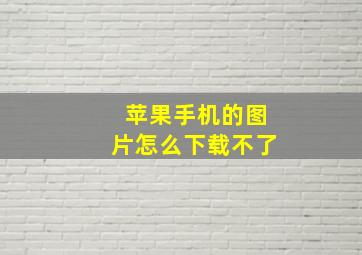 苹果手机的图片怎么下载不了