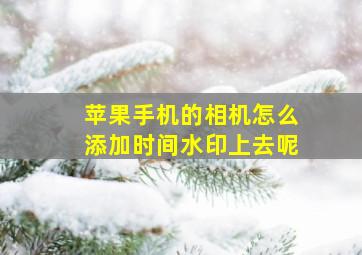 苹果手机的相机怎么添加时间水印上去呢