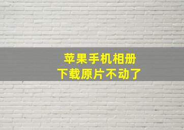 苹果手机相册下载原片不动了