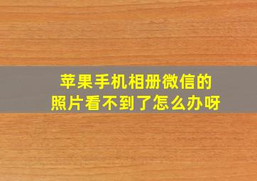 苹果手机相册微信的照片看不到了怎么办呀