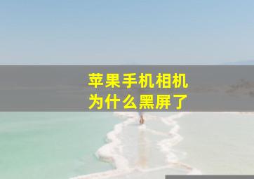 苹果手机相机为什么黑屏了