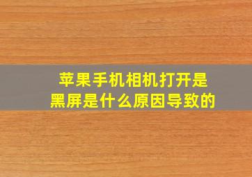 苹果手机相机打开是黑屏是什么原因导致的