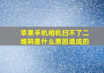 苹果手机相机扫不了二维码是什么原因造成的