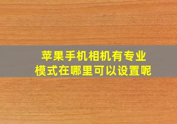 苹果手机相机有专业模式在哪里可以设置呢