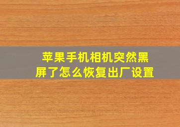 苹果手机相机突然黑屏了怎么恢复出厂设置