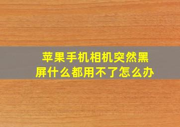 苹果手机相机突然黑屏什么都用不了怎么办