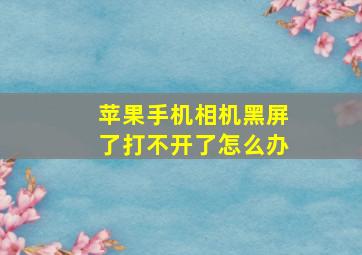 苹果手机相机黑屏了打不开了怎么办