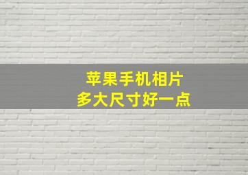 苹果手机相片多大尺寸好一点