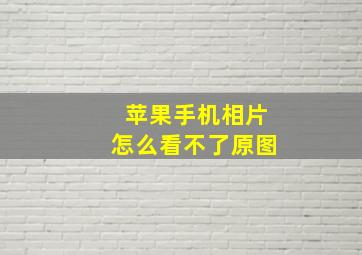 苹果手机相片怎么看不了原图