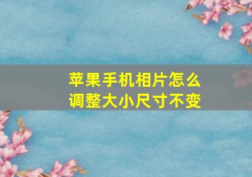 苹果手机相片怎么调整大小尺寸不变