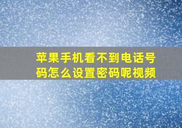 苹果手机看不到电话号码怎么设置密码呢视频