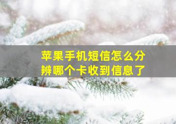 苹果手机短信怎么分辨哪个卡收到信息了