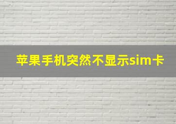 苹果手机突然不显示sim卡