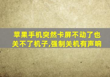 苹果手机突然卡屏不动了也关不了机子,强制关机有声响