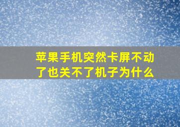 苹果手机突然卡屏不动了也关不了机子为什么