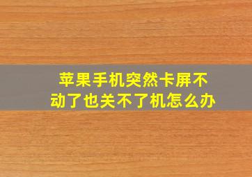 苹果手机突然卡屏不动了也关不了机怎么办