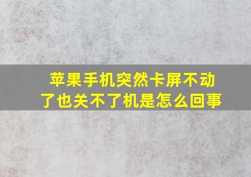 苹果手机突然卡屏不动了也关不了机是怎么回事