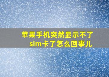 苹果手机突然显示不了sim卡了怎么回事儿