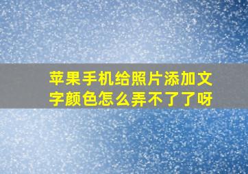 苹果手机给照片添加文字颜色怎么弄不了了呀