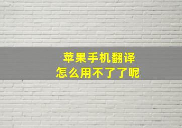 苹果手机翻译怎么用不了了呢